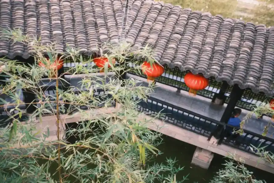 Pulvérisateur électrique dans un jardin